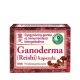 Dr.chen ganoderma-reishi-kapszula 60 db