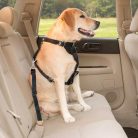 Biztonsági öv kutyáknak, autóba