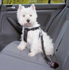 Biztonsági öv kutyáknak, autóba